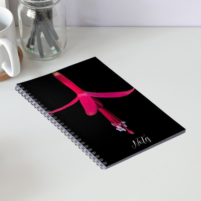 Bright Pink Fuchsia Flower on Black Notebook (In Situ)