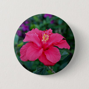 Bright Pink Hibiscus Photo 6 Cm Round Badge