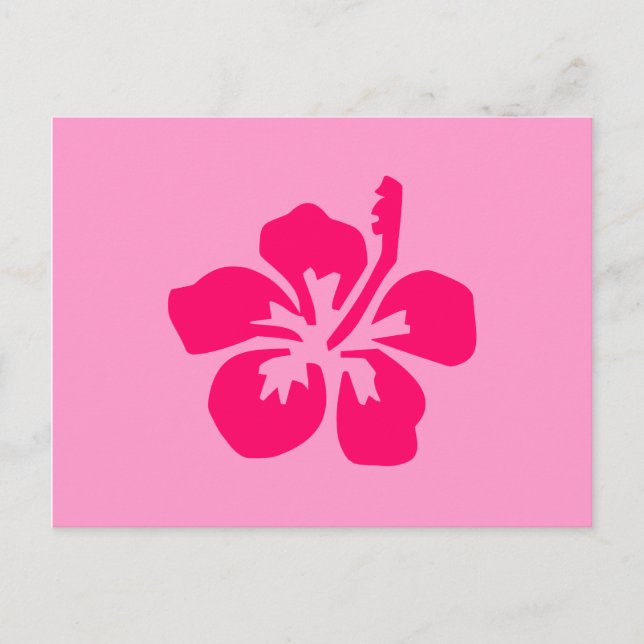 Bright Pink Hibiscus Postcard (Front)
