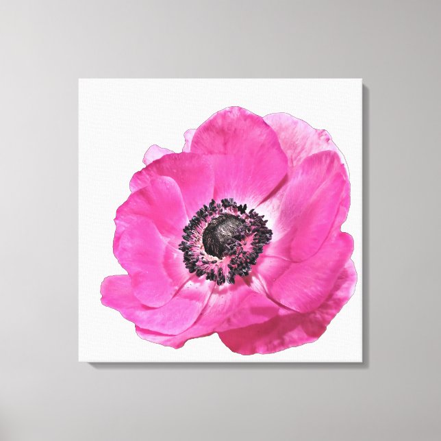 Bright Pink Poppy Flower Floral Design White Canvas Print (Front)