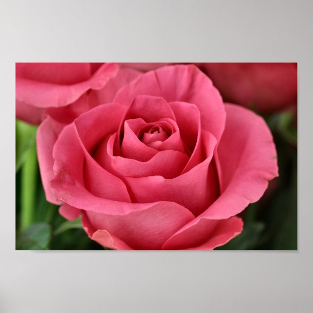 Bright pink poster (Front)