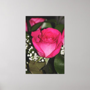 Bright Pink Rose Canvas Print