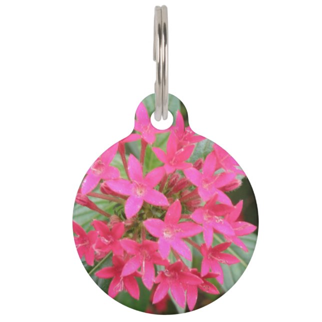 Bright Pink Tropical Flowers Dog Tag (Front)