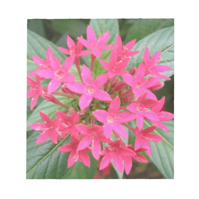 Bright Pink Tropical Flowers Notepad (Front)