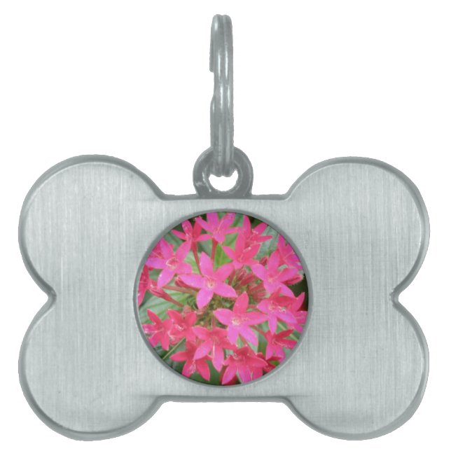 Bright Pink Tropical Flowers Pet Tag (Front)