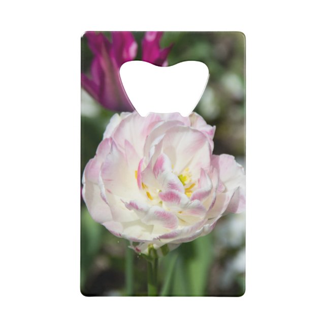 Bright pink tulips on a sunny day   (Front)