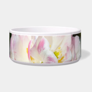 Bright pink tulips on a sunny day 