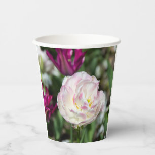 Bright pink tulips on a sunny day paper cups