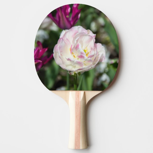Bright pink tulips on a sunny day   ping pong paddle (Front)