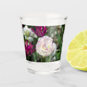 Bright pink tulips on a sunny day shot glass