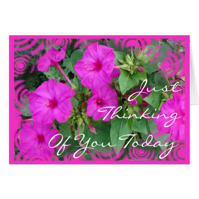 Bright Pk 4 o'clock flowers-customise any occasion (Front Horizontal)