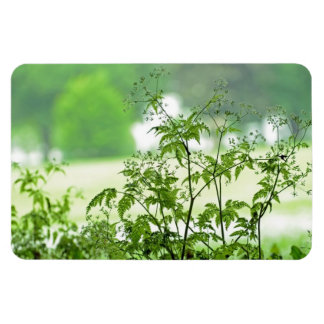 Bright Plant Flexi Magnet