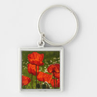 Bright Poppies Close Up Photo