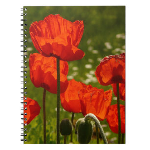 Bright Poppies Notebook