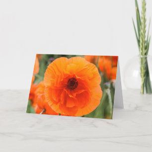 Bright Poppy Flowers Mother's Day Card