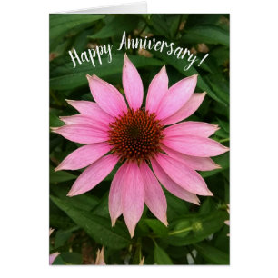 Bright Purple Coneflower Anniversary Card