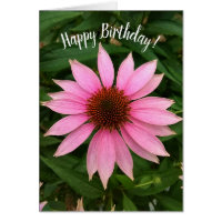 Bright Purple Coneflower Birthday Card