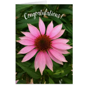 Bright Purple Coneflower Congratulations Card