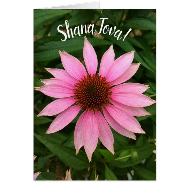 Bright Purple Coneflower Rosh Hashanah Card (Front)