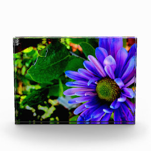 Bright Purple Flower Photo Block