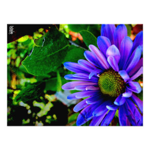 Bright Purple Flower Photo Print