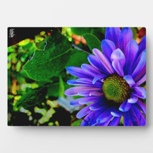 Bright Purple Flower Plaque
