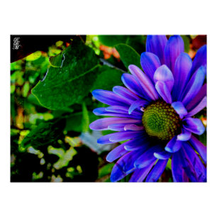 Bright Purple Flower Poster