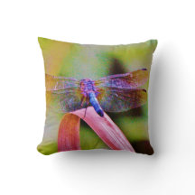 Bright Rainbow Pink Dragonfly