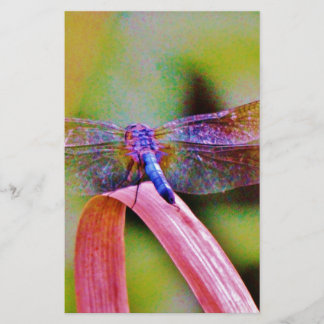 Bright Rainbow Pink Dragonfly Stationery