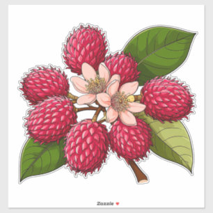 Bright Rambutan Cluster With Pink Flowers