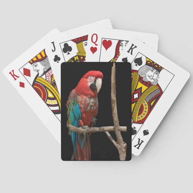 Bright Red and Blue Macaw Bird on Branch Playing Cards (Back)
