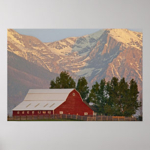 Bright red barn against Mission Mountains in Poster