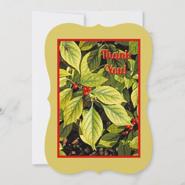 BRIGHT RED BERRIES ON CHARTREUSE-COLORED LEAVES (Front)