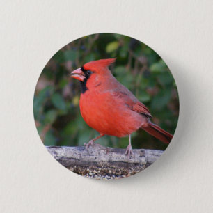 Bright Red Cardinal 6 Cm Round Badge