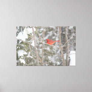 Bright Red Cardinal Canvas Print