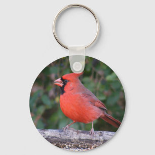 Bright Red Cardinal Key Ring