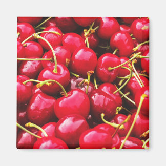 Bright Red Cherries Photo Magnet