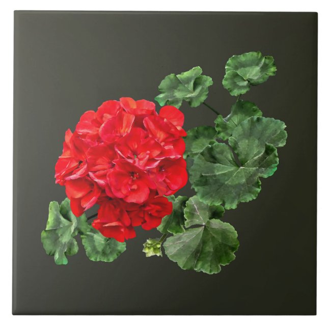 Bright Red Geranium Tile (Front)