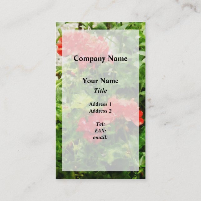 Bright Red Geraniums Business Card (Front)