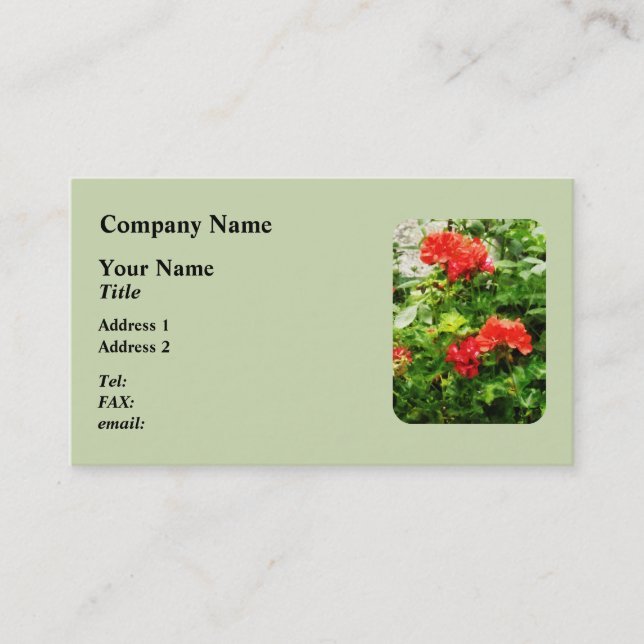 Bright Red Geraniums Business Card (Front)