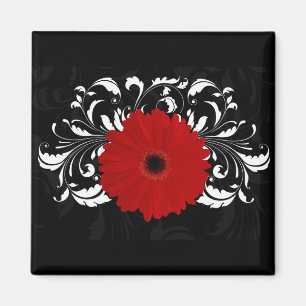 Bright Red Gerbera Daisy on Black Magnet