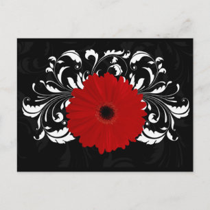 Bright Red Gerbera Daisy on Black Postcard