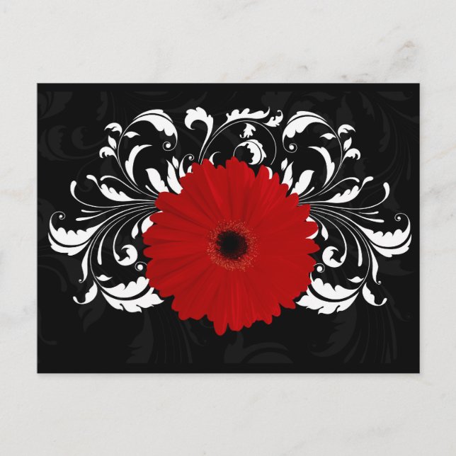 Bright Red Gerbera Daisy on Black Postcard (Front)