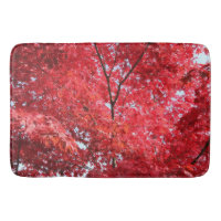 Bright Red Japanese Maple Tree