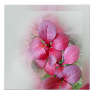 bright red leaflets poster