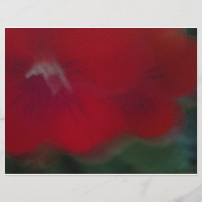 Bright Red Modern Flowers photography (Front)