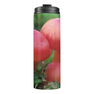 Bright Red Mushrooms on Forest Floor Thermal Tumbler