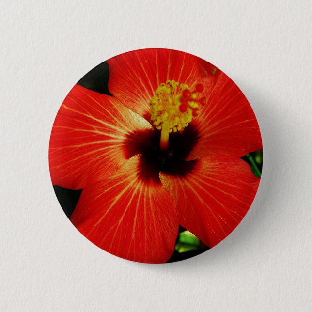 Bright Red Orange  Hibiscus Flower 6 Cm Round Badge (Front)