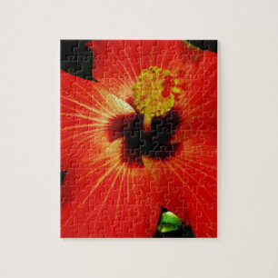 Bright Red Orange Hibiscus Flower Jigsaw Puzzle
