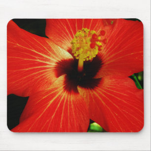 Bright Red Orange Hibiscus Flower Mouse Pad